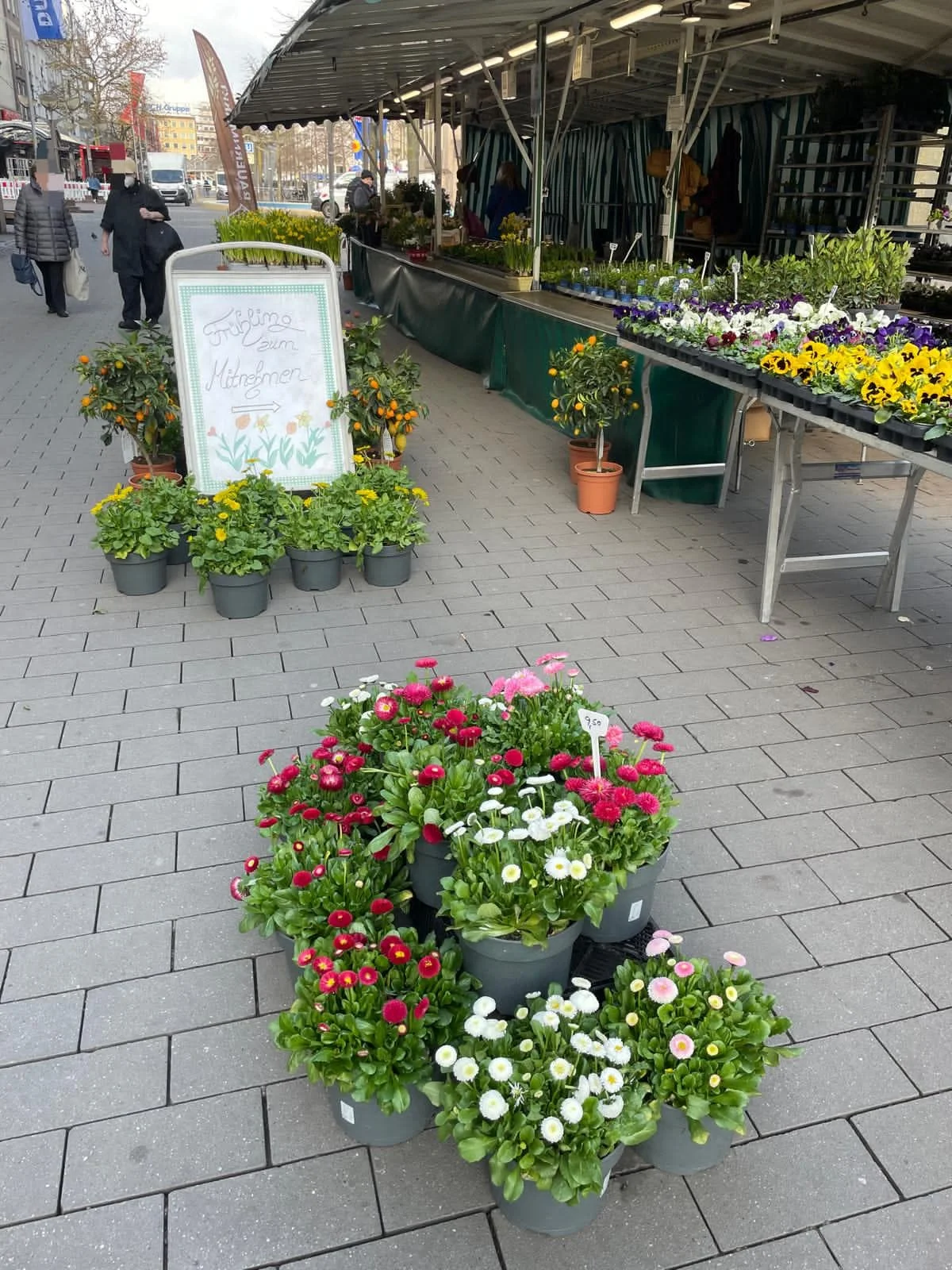 Frühlingsblumen